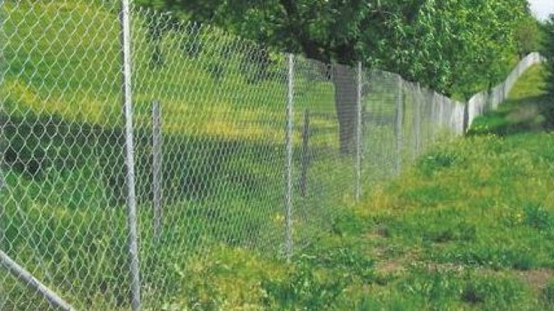 Driven-post fencing in field